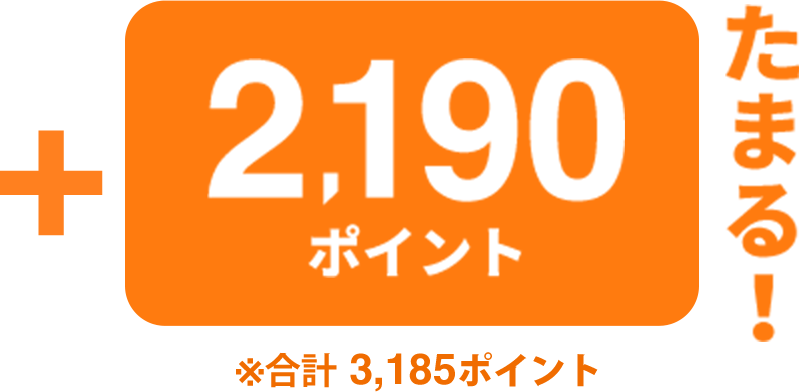 +2,190ポイントたまる! ※合計 3,185ポイント